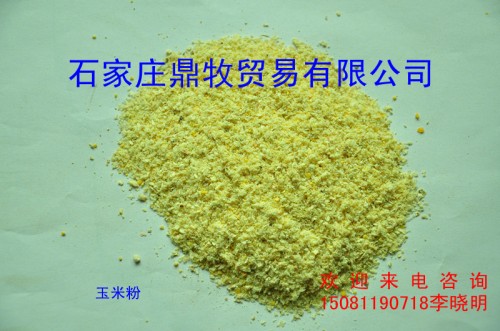 柠檬酸渣,粗芝麻,腐竹粕,蛋白粕,香油渣鲜榨胚芽好卖吗图片