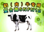 奶（肉）牛专用复合酶SNFN12