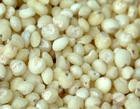 大豆玉米高粱蚕豆绿豆花生米碎米豆粕棉粕
