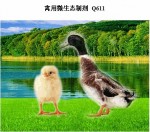 禽用微生态制剂 Q611