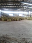 大量供应棉粕