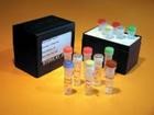 畜牧病毒检测试剂盒