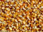 玉米、小麦、大麦、大豆、高粱、麸皮、次粉