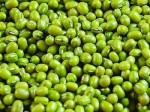 全国最低价批发进口绿豆