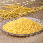 大上海供应免税价优质小黄米 杂粮报价