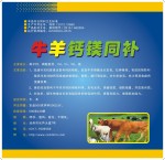 牛羊钙镁同补对牛羊咬毛、吃土等异食癖有显著效果。