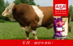 北京肉牛专用预混料厂家
