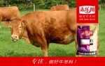北京肉牛预混料品牌
