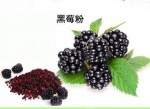 热销黑莓提取物多种规格1公斤起订厂家包邮