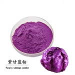 紫甘蓝提取物5:1多种规格1公斤起订厂家包邮