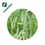 欧泽生物 饲料级 燕麦提取物 燕麦粉 70%β-葡聚糖 燕麦葡聚糖