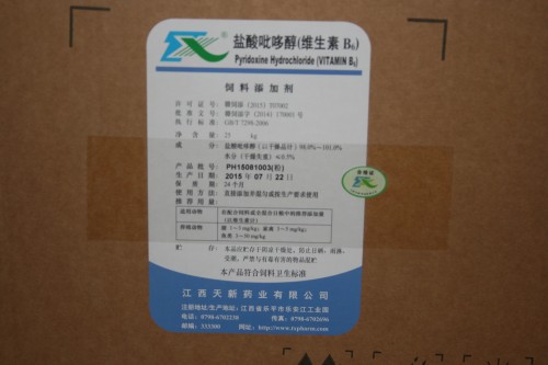 天新B6