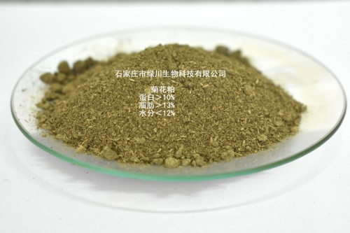 菊花粉 菊花粕
