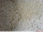 特产晚梗米和普通杂梗米
