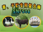 青、干贮专用复合酶SNFS06