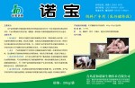 诺宝-乳仔猪猪用