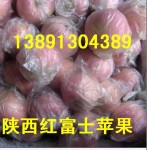 陕西冷库红富士苹果价格，红富士苹果行情产地