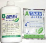  净宫炎A+B 