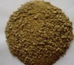 反刍动物新型饲料---缓释蛋白