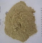 供应熟化大豆粉