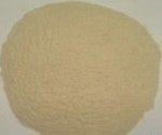 供应厂家直销品质保证大米蛋白粉