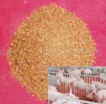 (DDGS饲料)在猪日粮中的应用
