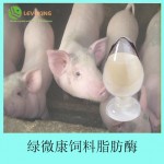 绿微康饲料脂肪酶LFK-900