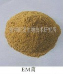 EM菌