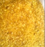 邢台臻兴牧业大量供应新货纯玉米DDGS(金黄色)15131993118