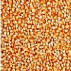 玉米万吨需出售 