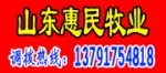 2012肉牛价格趋势，肉牛价格什么地方便宜？