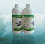 养乐宝益生菌原液（水产专用