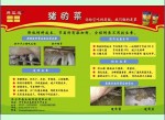  万能牛 饲料添加剂  可代替所有添加剂和抗生素  微生物添加剂 菌种饲料 