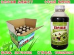 农富康EM菌液。用农富康EM菌液发酵豆渣养猪的方法及好处？