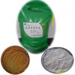 枯草芽孢杆菌  300亿/克