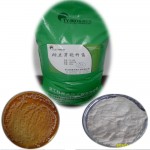 200亿/克纳豆芽孢杆菌