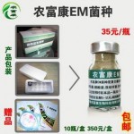 EM菌养猪|EM菌提高养猪收入效益|EM菌养猪疾病预防|EM菌降低养猪成本
