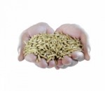 冷制粒颗粒伴侣