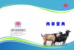 肉羊（肉牛）复合预混料