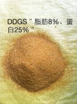 厂供直销DDGS、玉米喷浆蛋白