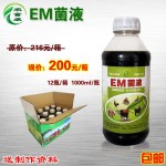 EM菌液减少鱼氨氮中毒，EM菌液去哪里可以买？