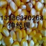 采购：玉米，大豆，绿豆，棉粕，大麦，大米，碎米