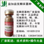 如果做发酵床养猪，用什么菌种怎么买发酵床养猪菌种菌液