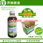 豆渣发酵剂发酵豆渣喂猪技术