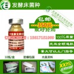 ★☆发酵床养猪技术容易吗 哪有卖发酵床养猪菌种