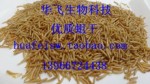 蝇蛆干蛋白饲料