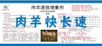 肉羊预混料-肉羊预混料产品肉羊快长速