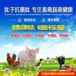 鸡用抗菌肽 微生物枯草芽孢杆菌养殖畜禽饲料添加剂