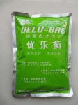优乐菌