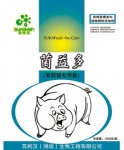 育肥猪专用益生菌 饲料添加剂 